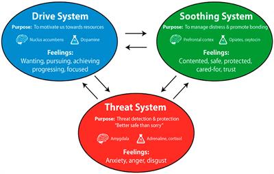 Why should I switch on my camera? Developing the cognitive skills of compassionate communications for online group/teamwork management